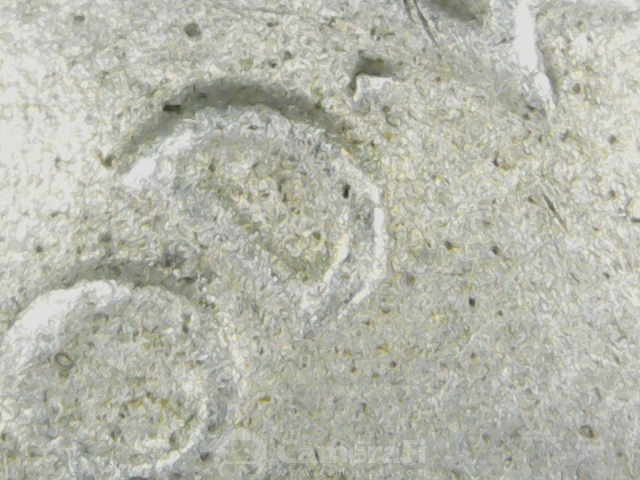 1923-Peace-Dollar-DDO